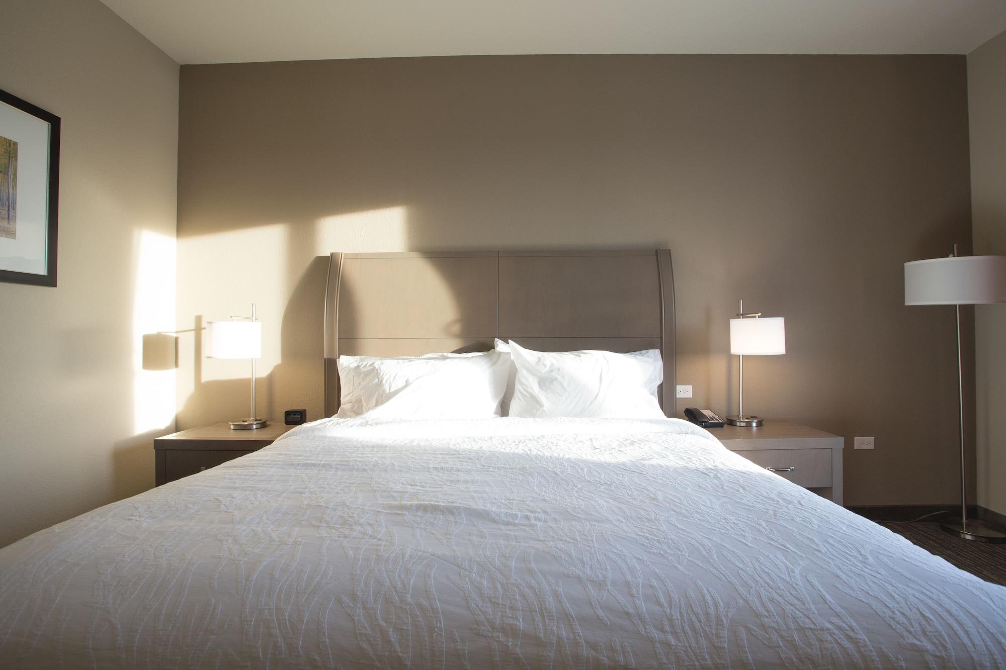 Hilton Garden Inn Bolingbrook I-55 Εξωτερικό φωτογραφία